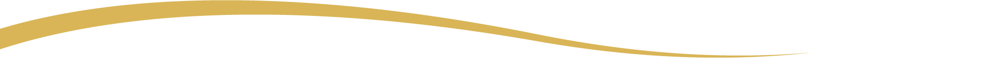 header-wave-trans-white
